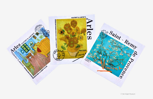 Van Gogh Cleaning Cloth - Pair Eyewear