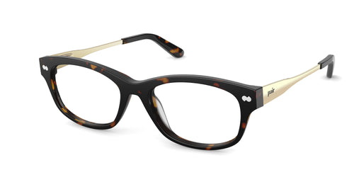 The Addison - Tortoise Acetate Gold Metal