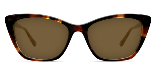 The Wanda - Tortoise Sun