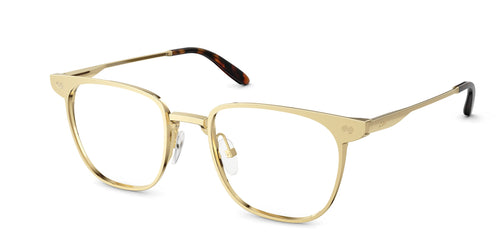 The Nola - Gold Metal