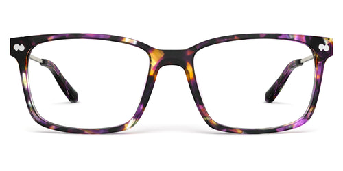 The Kirby - Purple Confetti Tortoise Acetate Gold Metal