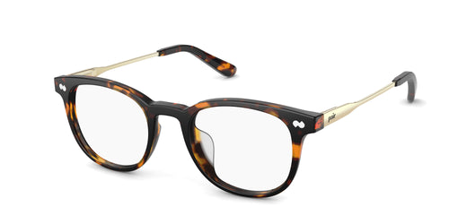 The Reese - Tortoise Acetate Gold Metal